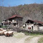 روستای لمسوکلا